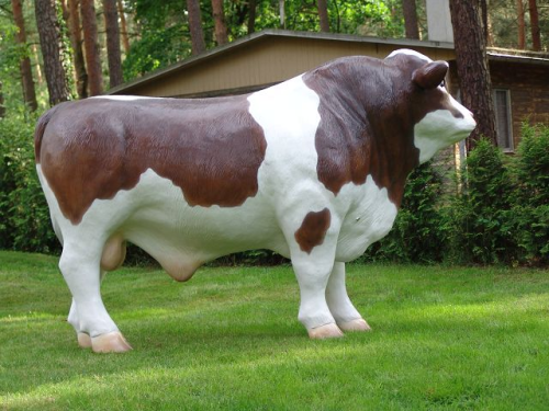 Bulle, "Franzl von der Alm", braun weiß, 260cm, HAEIGEMO