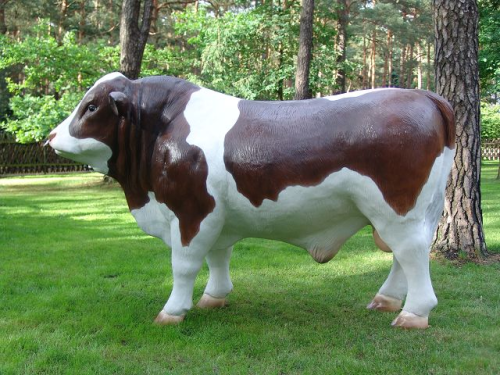 Bulle, "Franzl von der Alm", braun weiß, 260cm, HAEIGEMO
