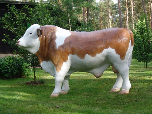 Bulle, "Ludwig von der Alm", braun weiß, 260cm, HAEIGEMO