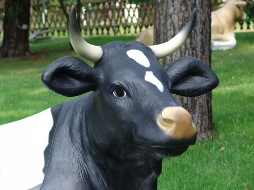 Kuh, Kuhbank, "Annerose von der Alm", schwarz weiß, 225cm, HAEIGEMO