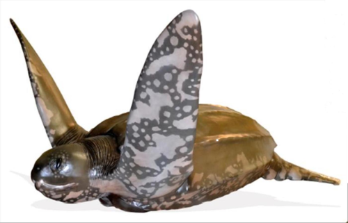 Schildkröte, Meeresschildkröte, Lederschildkröte, 230cm