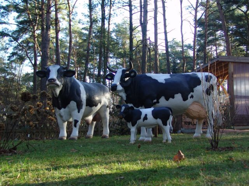 Kuh, "Dorothea von der Alm", 220cm und Bulle "Anton von der Alm",260cm und Kalb, HAEIGEMO