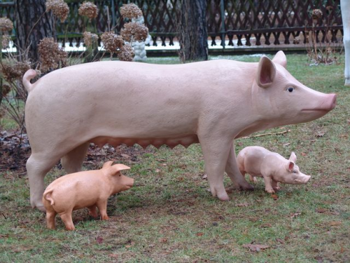 Schwein, "Rosamunde" mit 2 Ferkel