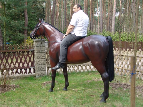 Pferd, Kutschpferd, "Baily", Kunsthaare, belastbar, 259cm, HAEIGEMO, HORSE
