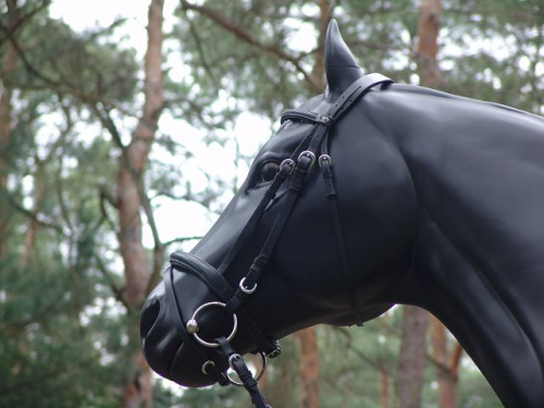 Pferd, Kutschpferd, "Black Dancer", belastbar, 259cm, HAEIGEMO, HORSE