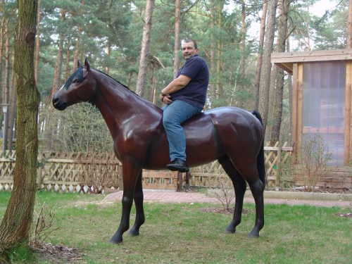 Pferd, "Azuro", Kunsthaare, belastbar, 259cm, HAEIGEMO, HORSE