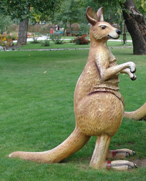 Känguru, 180cm