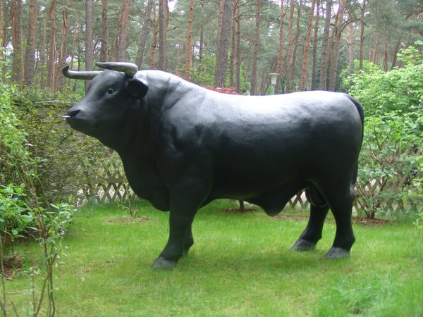 Bulle, "Aaron von der Alm", schwarz, 260cm, HAEIGEMO