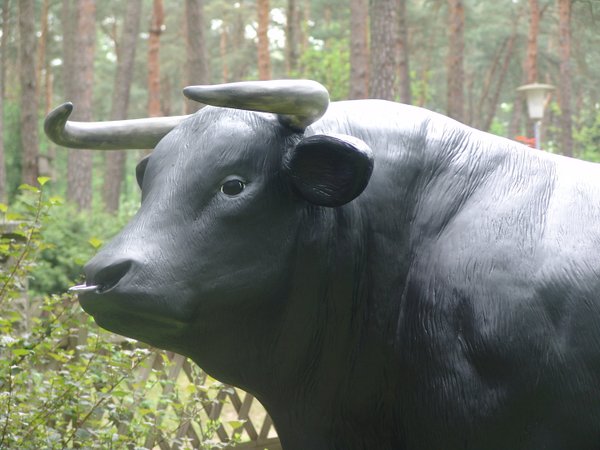 Bulle, "Aaron von der Alm", schwarz, 260cm, HAEIGEMO