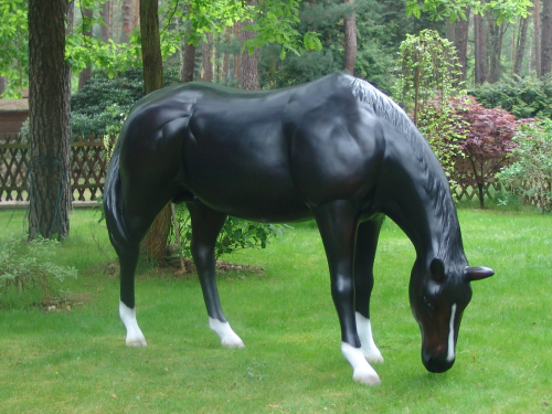Pferd, "Ascalor, grasend, nicht belastbar, 259cm, HAEIGEMO, HORSE