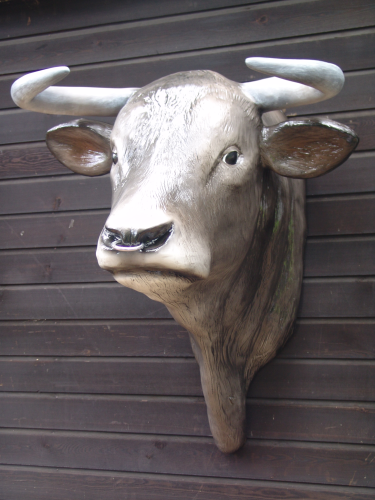 Bullenkopf, "Alois von der Alm", mit Wandhalterung, 85cm, HAEIGEMO