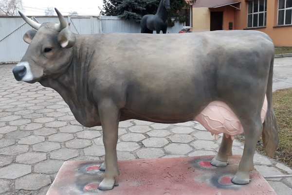 Kuh, "Wilma von der Alm", Braunvieh, ohne Horn, 220cm, HAEIGEMO