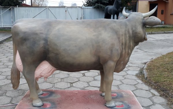 Kuh, "Wilma von der Alm", Braunvieh, mit Horn, 220cm, HAEIGEMO