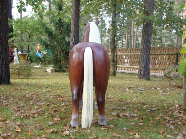 Pony, Shetland, "Ashanti", 162cm, belastbar bis 100kg , HAEIGEMO, HORSE, PFERD