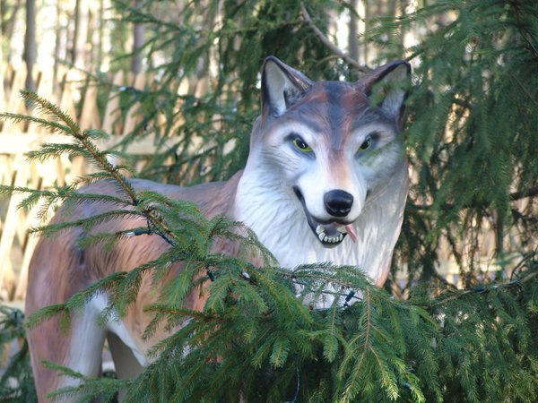 Wolf, "Bardou", 145cm, braun, HAEIGEMO