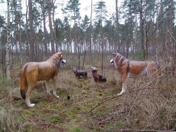 Wolfsfamilie mit 2 Wolfskinder / HAEIGEMO - HAUSEIGENE MODELLE