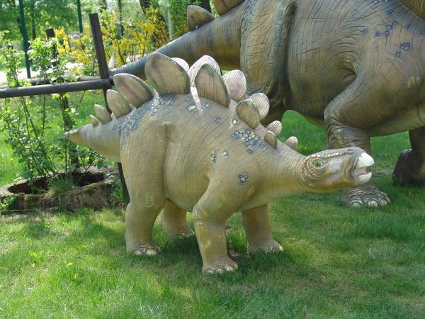 Stegosaurus, klein, 240cm