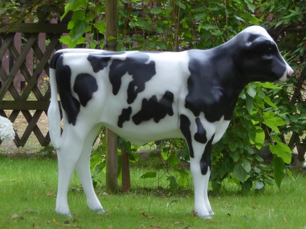 Kalb, Holstein Kälbchen lebensgroß, "Flecki", Kopf geradeaus, schwarz weiß, 128cm, HAEIGEMO