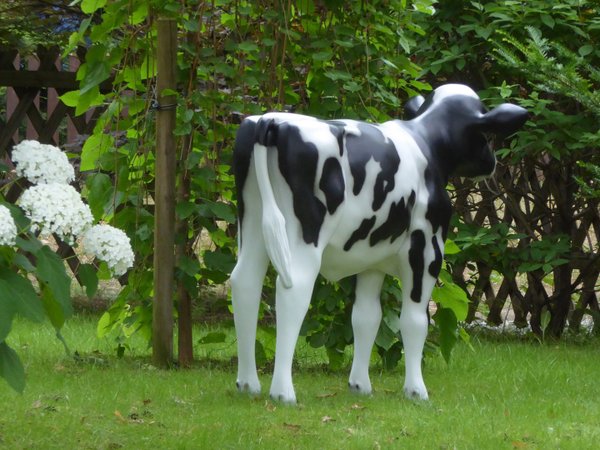 Kalb, Holstein Kälbchen lebensgroß, "Flecki", Kopf geradeaus, schwarz weiß, 128cm, HAEIGEMO