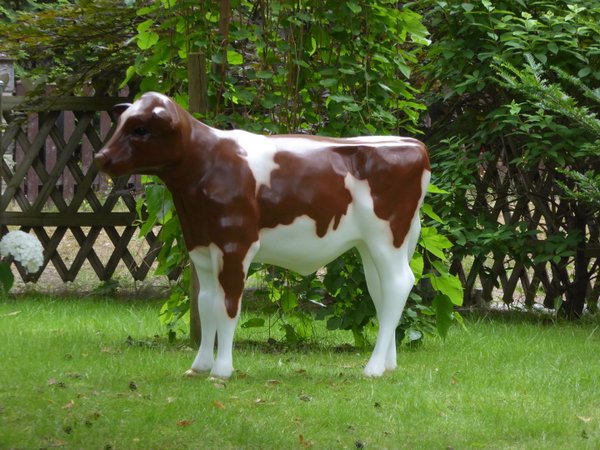 Kalb, Holstein Kälbchen lebensgroß, "Brownie", nicht belastbar, braun weiss, 128cm, HAEIGEMO