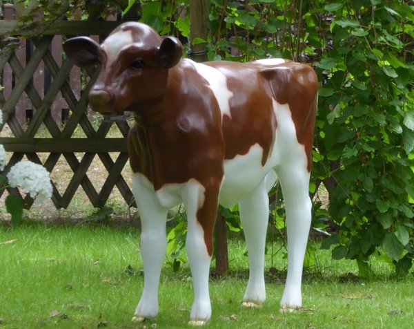 Kalb, Holstein Kälbchen lebensgroß, "Brownie", nicht belastbar, braun weiss, 128cm, HAEIGEMO