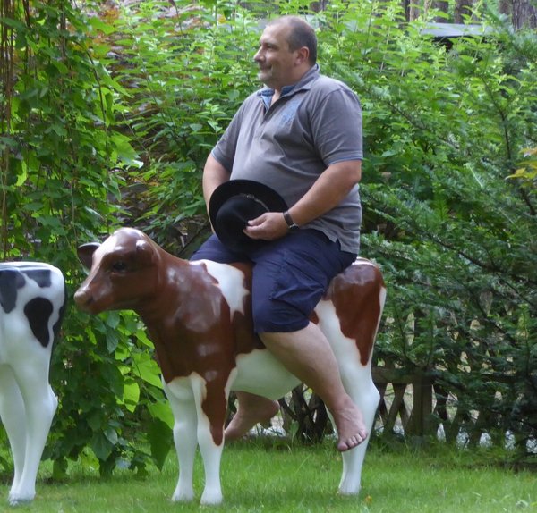 Kalb, Holstein Kälbchen lebensgroß, "Brownie", braun weiß, belastbar, 128cm, HAEIGEMO