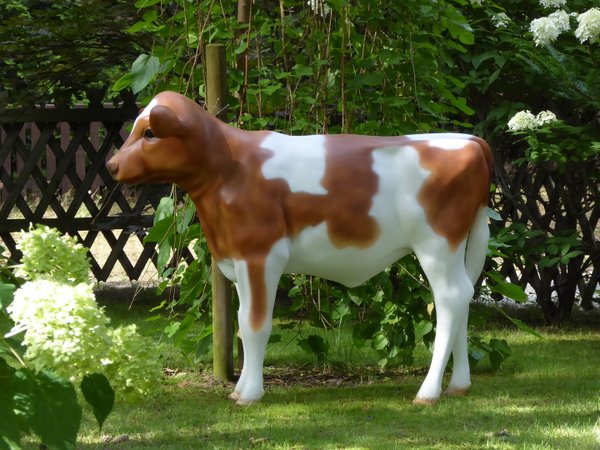 Kalb, Holstein Kälbchen lebensgroß, "Babsi", nicht belastbar, braun weiss, 128cm, HAEIGEMO
