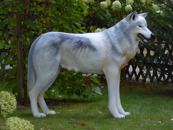 Wölfin, "Armina", grau, 145cm, HAEIGEMO