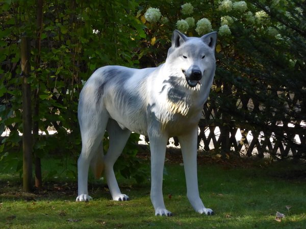 Wolf, "Alessio", 145cm, grau, HAEIGEMO