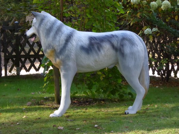 Wolf, "Alessio", 145cm, grau, HAEIGEMO