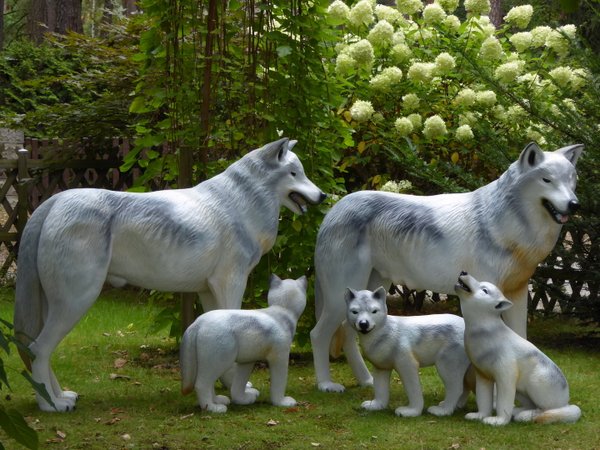 Wolfsfamilie mit 3 Wolfskinder, grau HAEIGEMO