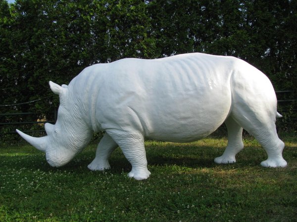 Nashorn, weiß lackiert, 350cm