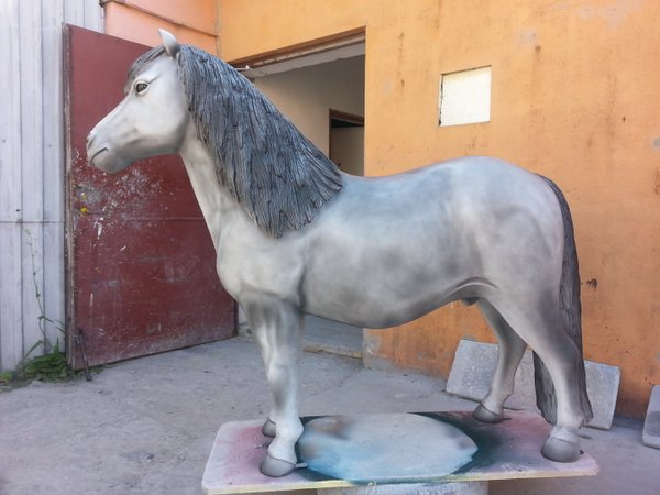 Shetland Pony,  "Grey", 162cm, belastbar bis 100kg , HAEIGEMO, HORSE, PFERD
