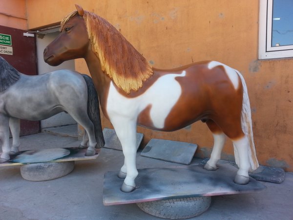 Pony, Shetland, "Domino", 162cm, belastbar bis 100kg , HAEIGEMO, HORSE, PFERD