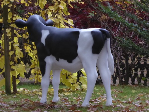 Kalb, Holstein Kälbchen lebensgroß, "Fatima", Kopf rechts, schwarz weiß, 122cm, HAEIGEMO