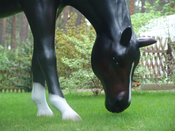 Pferd, "Ascalor",  grasend, belastbar, mit Hufeisen, 259cm, HAEIGEMO, HORSE