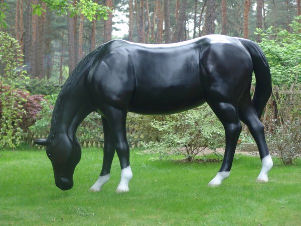 Pferd, "Ascalor",  grasend, belastbar, mit Hufeisen, 259cm, HAEIGEMO, HORSE