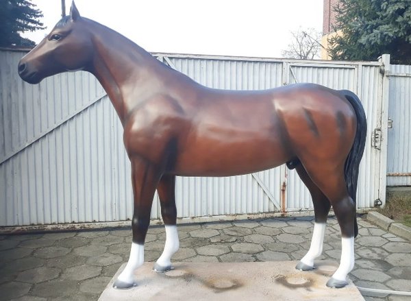 Pferd, "Bandito", Hufeisen, belastbar, 259cm, HAEIGEMO, HORSE