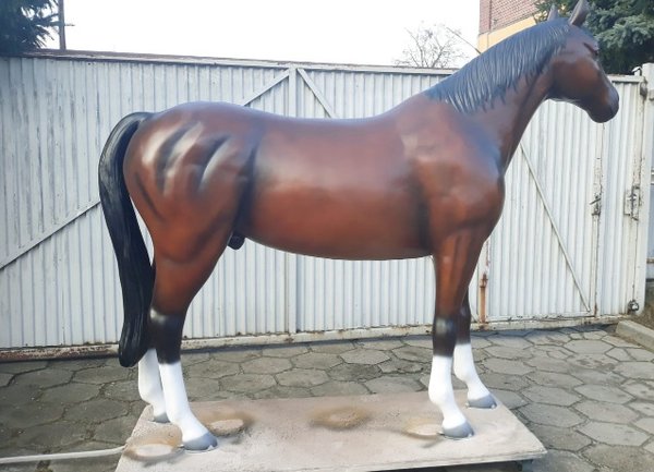 Pferd, "Bandito", Hufeisen, belastbar, 259cm, HAEIGEMO, HORSE