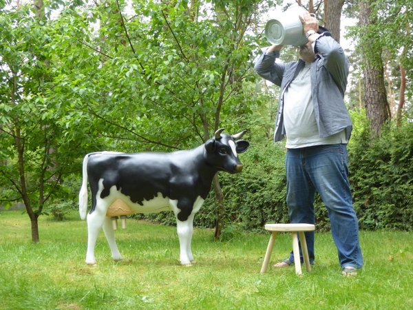 Kuh, Melkkuh für Kinder belastbar, "Primelchen", Holstein, 1 x 12 Liter Tank, 122cm, HAEIGEMO