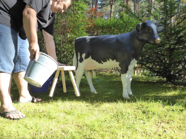 Kuh, Melkkuh für Kinder belastbar, "Primelchen", Holstein, 1 x 12 Liter Tank, schwarz weiß, 122cm