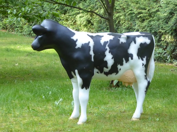Kuh, Kälbchen, Holsteinkuh klein, "Püppi", belastbar bis 100kg,  122cm HAEIGEMO