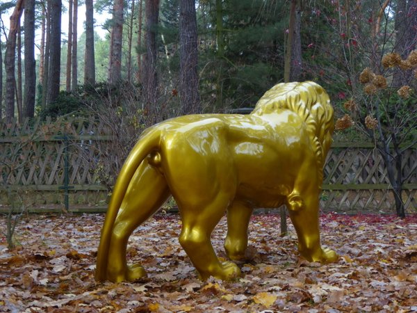 Löwe, "Marlon", goldfarben lackiert, 195cm