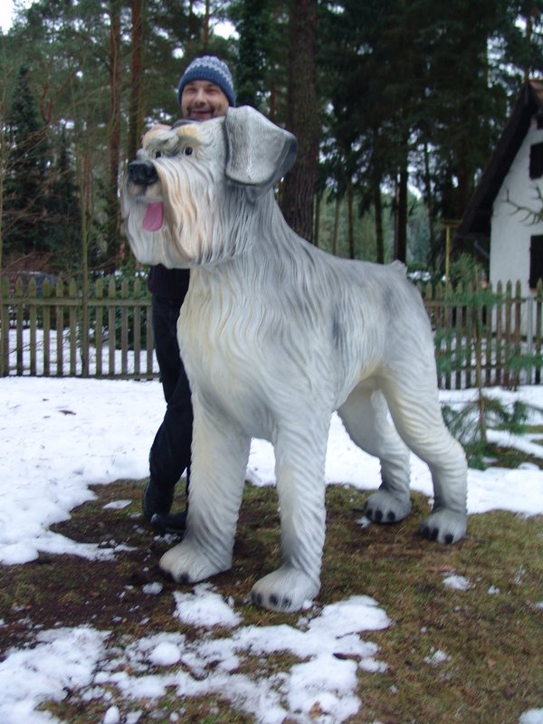 Hunde, Riesenschnauzer XXL, 140cm