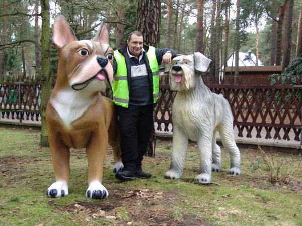 Hunde, French Bulldog und Riesenschnauzer im Doppelpack
