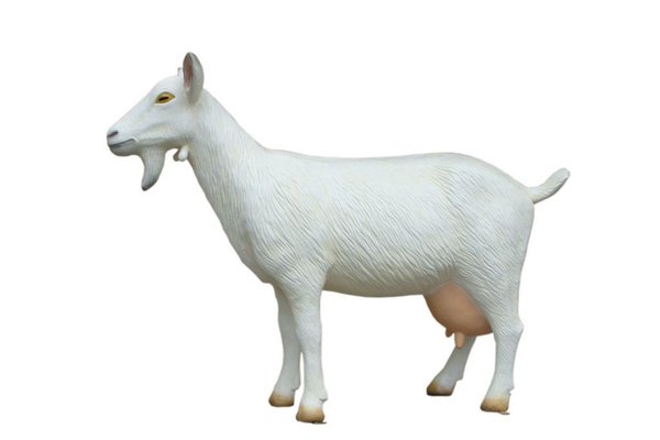 Ziege, "Pipa", stehend, weiß, 150cm