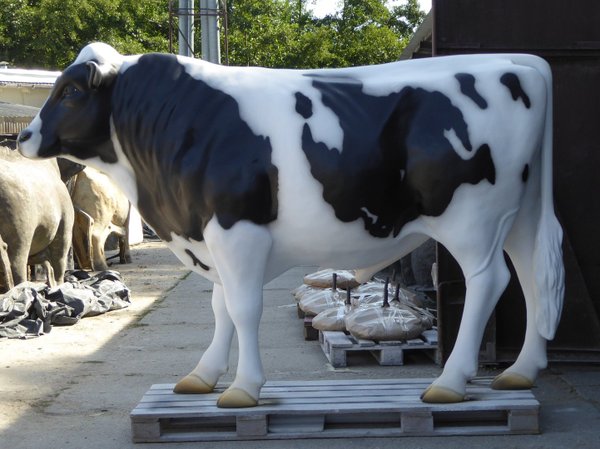 Holstein Bulle,  "Fritz", 280cm, HAEIGEMO