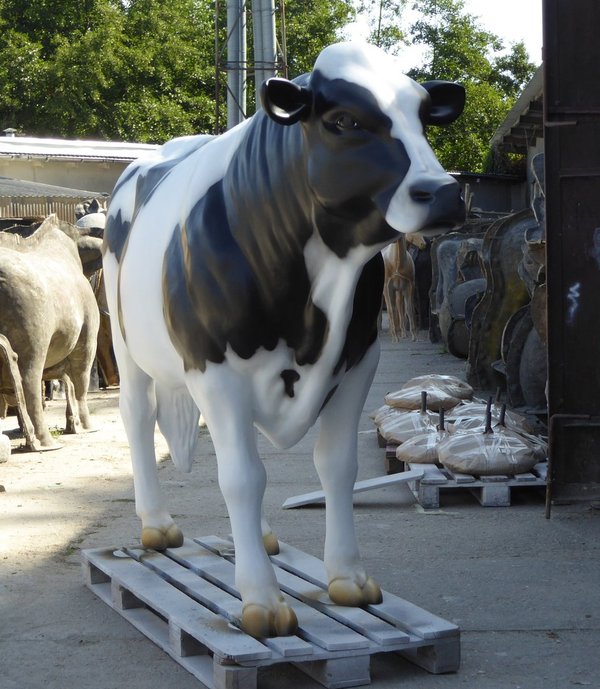 Holstein Bulle,  "Fritz", 280cm, HAEIGEMO