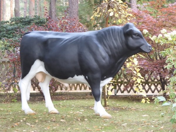 Holstein Bulle,  "Ferdy", 280cm, HAEIGEMO
