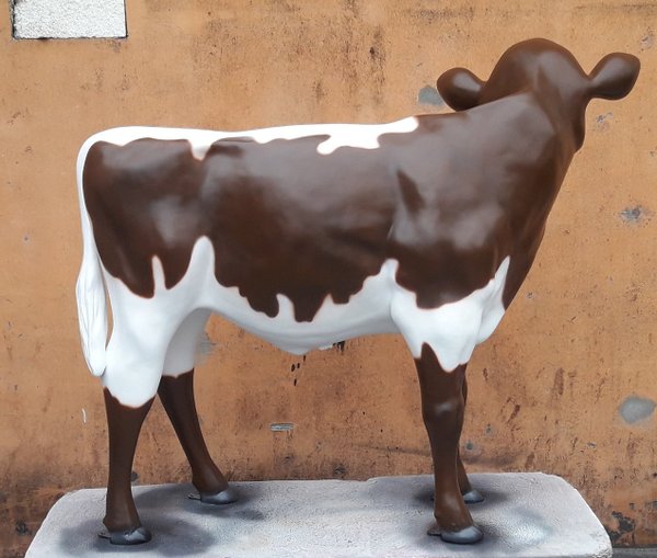 Kalb, Holstein Kälbchen lebensgroß, "Pinzgauer Art", Kopf links,  belastbar, 128cm/ HAEIGEMO